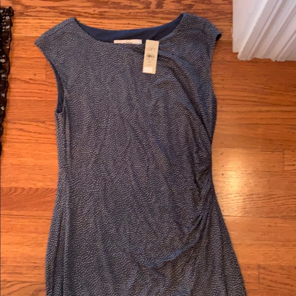 Anne Taylor Loft Dress